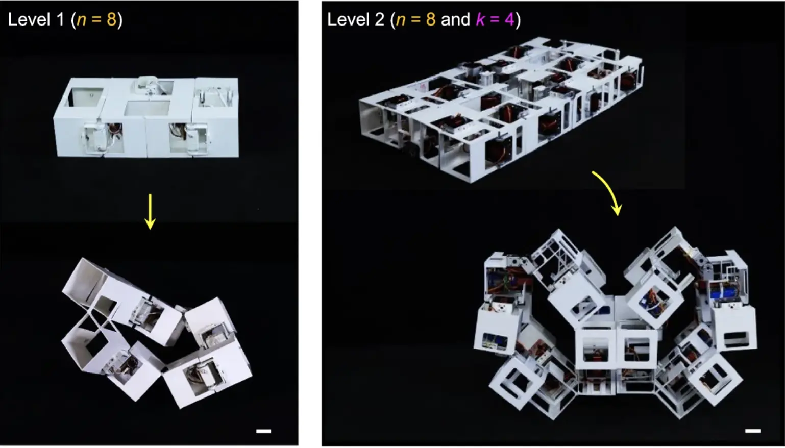 L’Università NC State sviluppa un robot trasformista ispirato all’origami