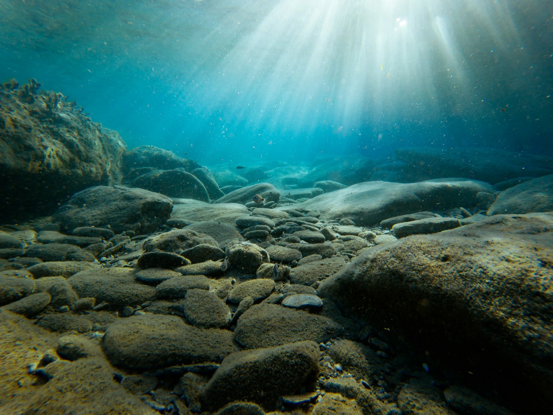 Gli Scienziati Scoprono una Misteriosa Fonte di Ossigeno Prodotto sul Fondo del Mare