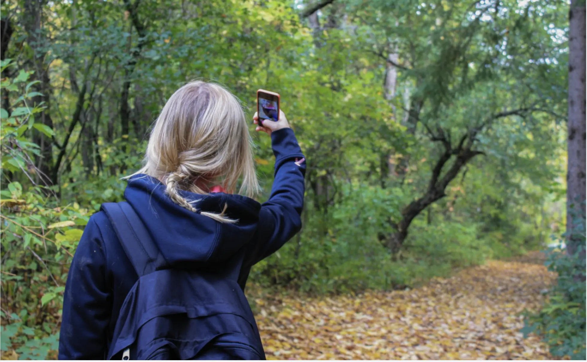 Lo Studio Rivela Che L’Incremento Della Fotografia Naturalistica Nei Social Media Danneggia La Fauna Selvatica E Gli Habitat