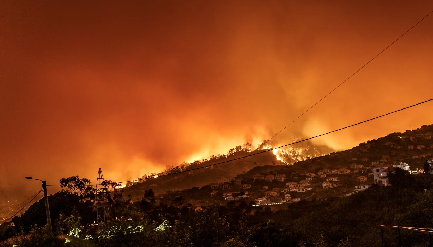 Google lancia FireSat: un nuovo strumento di intelligenza artificiale per il rilevamento degli incendi boschivi