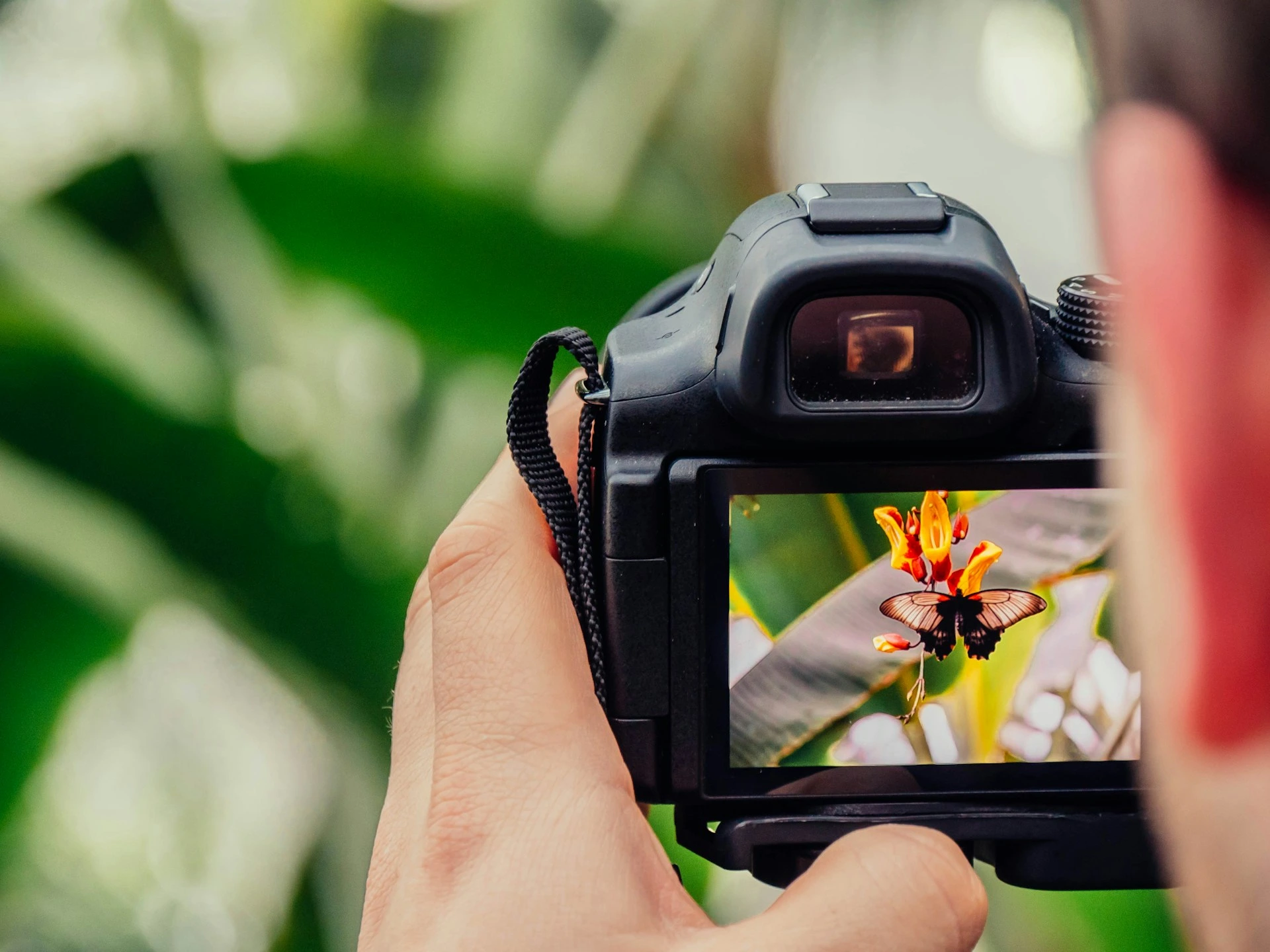 Getty Images si unirà alla rivale Shutterstock per creare un’azienda del valore di $3.7 miliardi