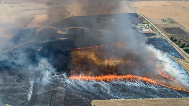 Il FireSat, sostenuto da Google, lancia il primo satellite per la rilevazione precoce degli incendi boschivi